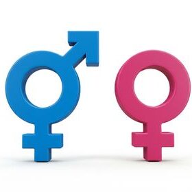 1759934201188_sample_0