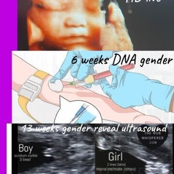 AC363A21-0C76-42E8-A269-4346F0127180_4_5005_c